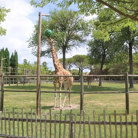 アパート Manuela リニャーノ・サッビアドーロ